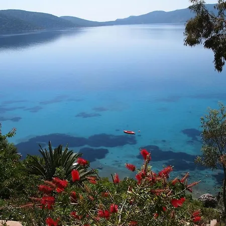 Alonissos Luxury With Jacuzzi And 别墅