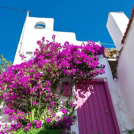 Alonissos Luxury With Jacuzzi And * Agios Dimitrios (Alonisos)