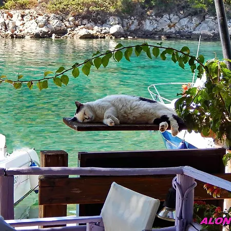 Alonissos Luxury With Jacuzzi And Villa *
