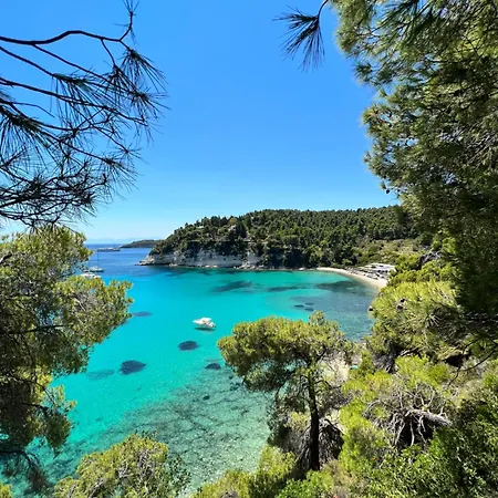 别墅 Alonissos Luxury With Jacuzzi And